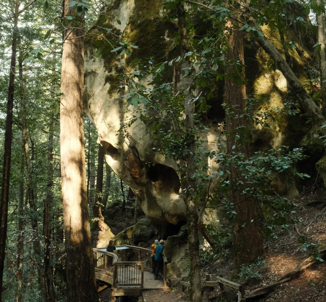 [Jan 01, 2025] Tafoni, Fir, and Methuselah Loop @ Tafoni Sandstone